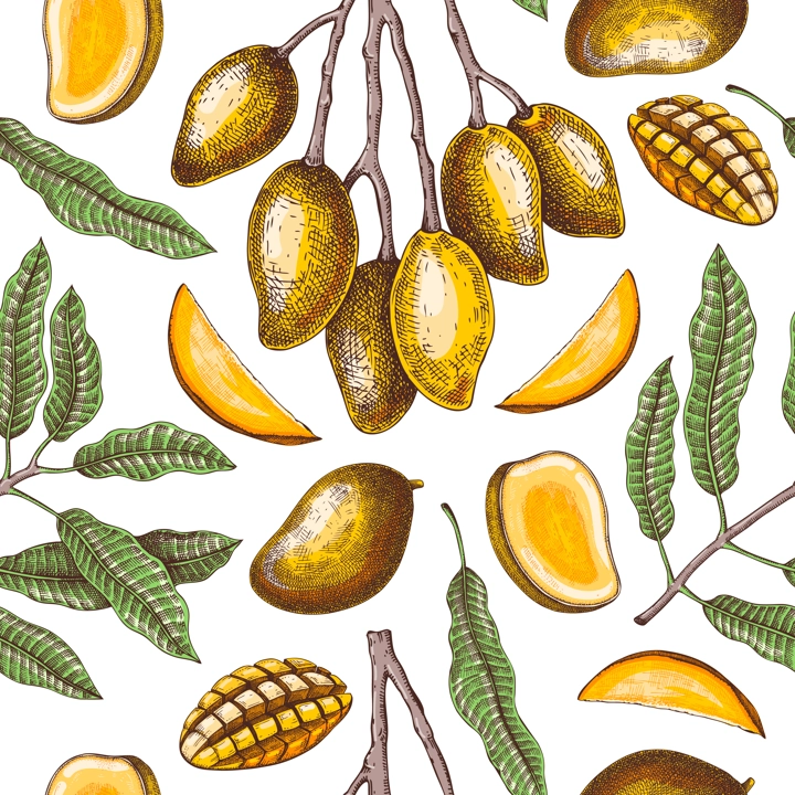 Tropical fruit seamless pattern. Ripe mango sketch. Hand-drawn vector illustration. Exotic plant background, texture, textile design. NOT AI generated
